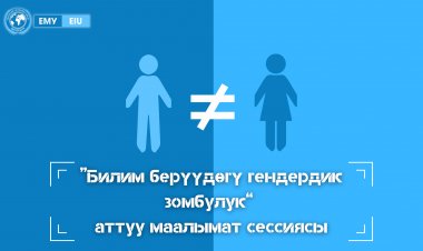 EЭУнин кызматкерлери – билим берүүдөгү гендердик зомбулук боюнча маалымат сессиясынын катышуучулары