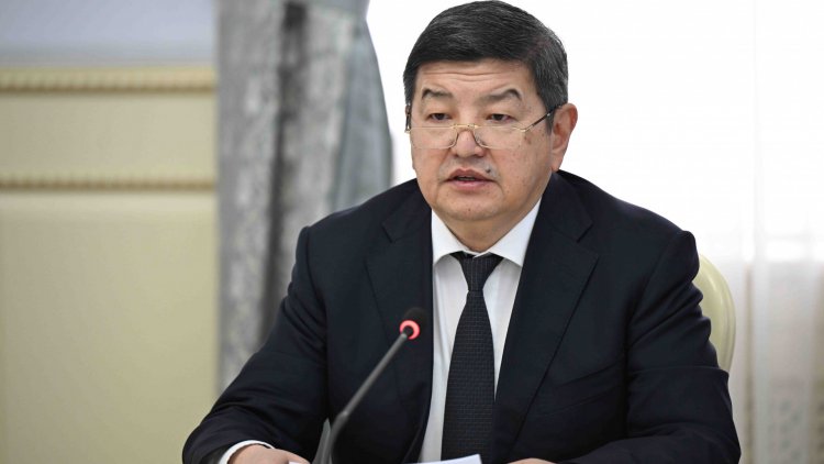 Совещание по деятельности медицинских вузов в Администрации Президента КР