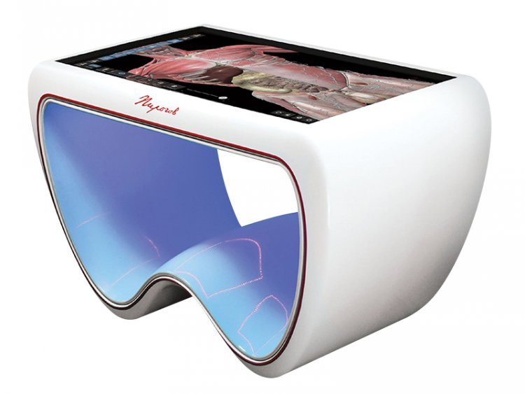 Интерактивный стол Пирогова