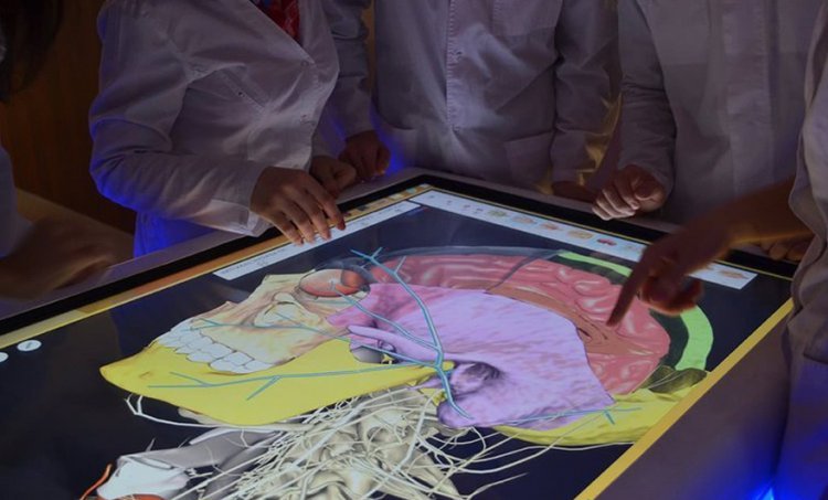 Пирогов столу