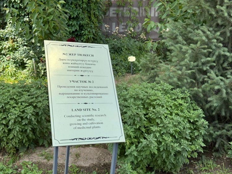 Лекарственный ботанический сад